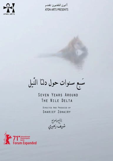 Seven Years Around the Nile Delta poster
