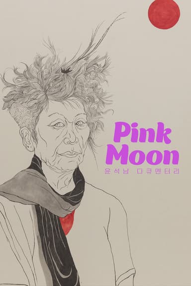Pink Moon poster