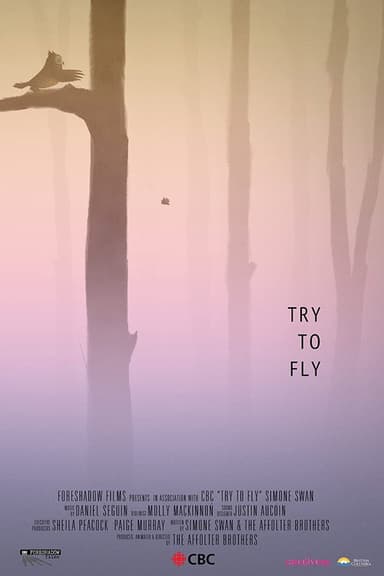 Try to Fly poster