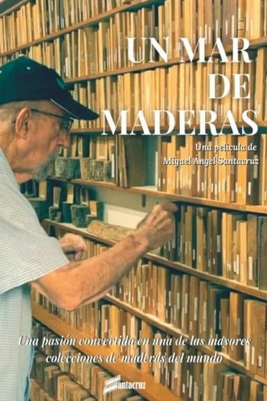 Un mar de maderas poster