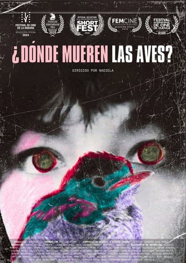 Where Do Birds Die? poster