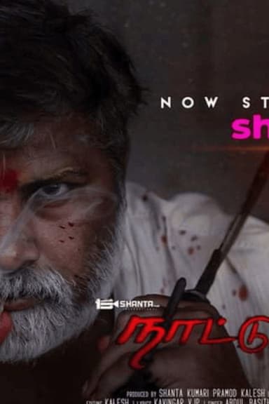 Naattumirandi poster
