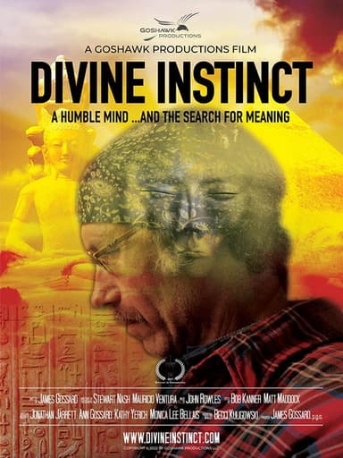 Divine Instinct poster