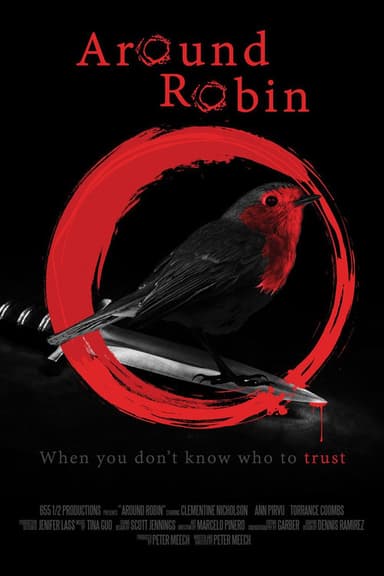 Around Robin poster