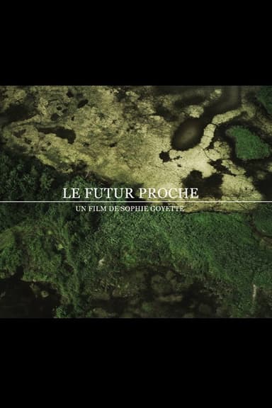 The Near Future poster