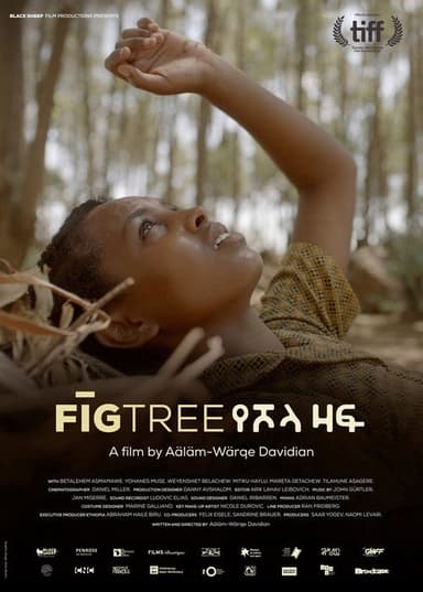 Fig Tree poster