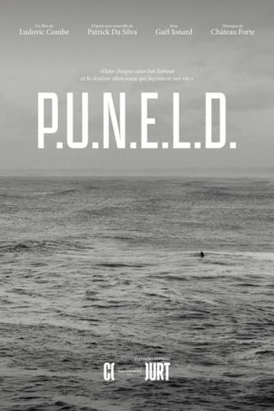 P.U.N.E.L.D. poster