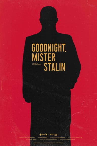 Goodnight, Mister Stalin poster