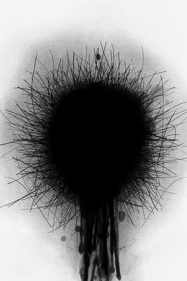 Dandelion poster