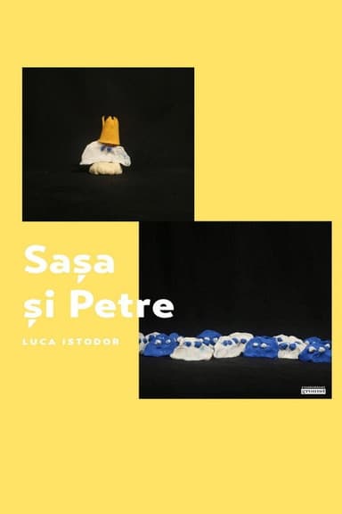 Sașa and Petre poster