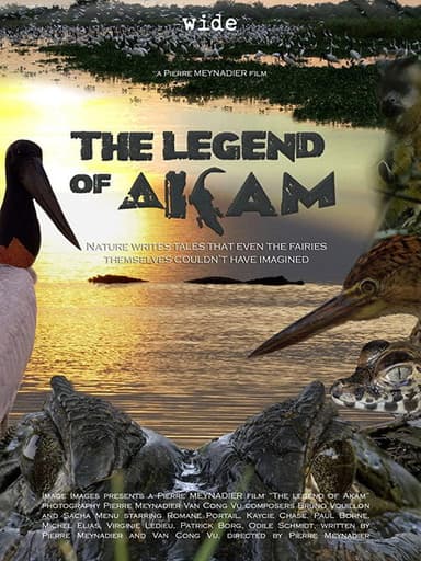 La légende d'Akam poster