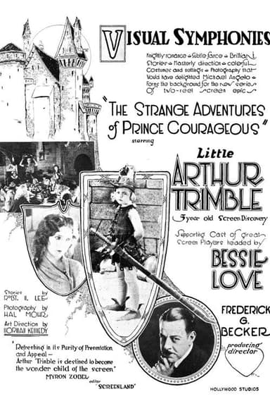 The Strange Adventures of Prince Courageous poster