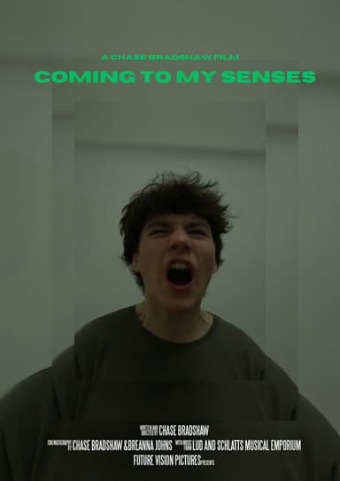 Coming to My Senses poster