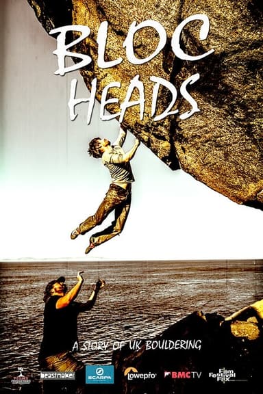 Blocheads poster
