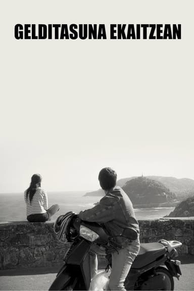 Stillness in the Storm poster