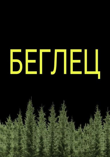 Stranger in the bush poster