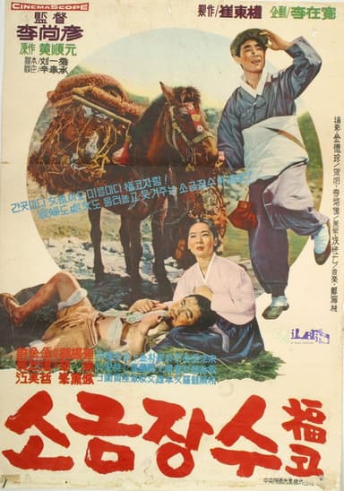 A Salt Peddler poster