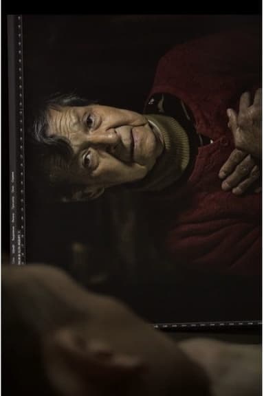 The Shadows poster