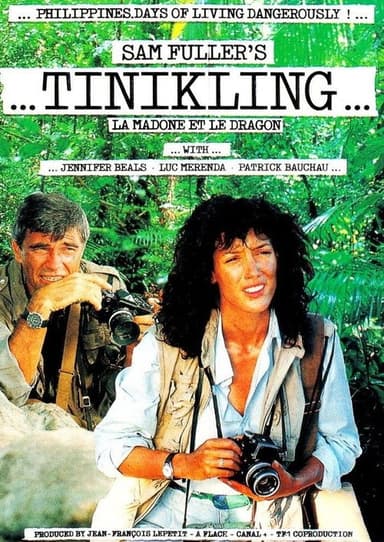 The Madonna and the Dragon poster