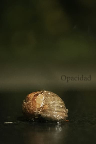 Opacity poster