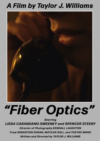 Fiber Optics poster