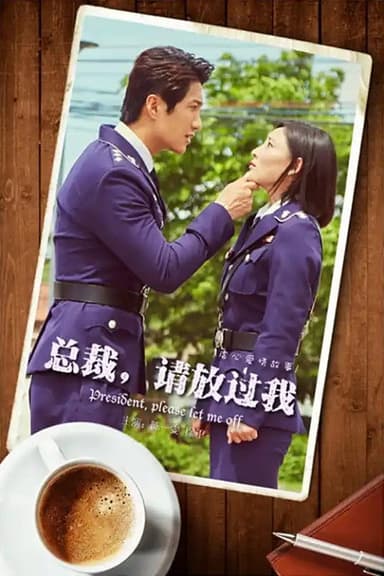 总裁，请放过我 poster