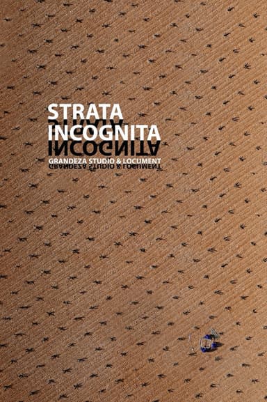 STRATA INCOGNITA poster