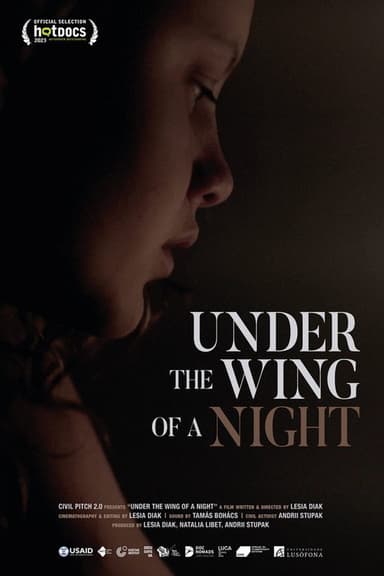 Under the Wing of a Night poster