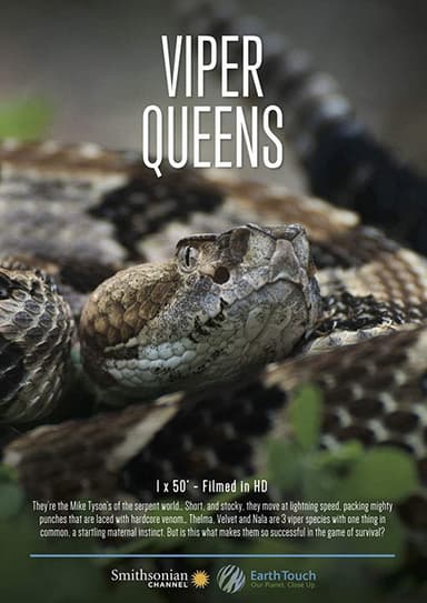 Viper Queens poster