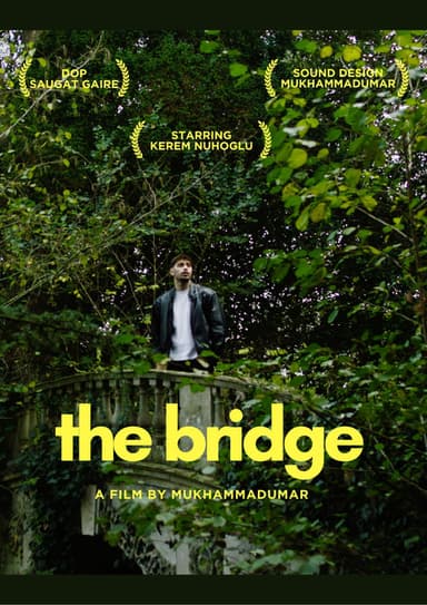 The Bridge poster
