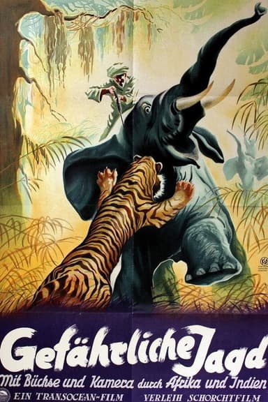Gefährliche Jagd poster