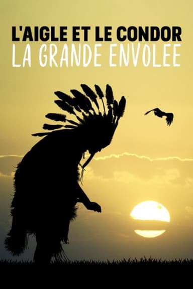 L'aigle et le condor, la grande envolée poster