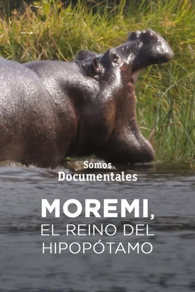 Moremi, el reino del hipopótamo poster
