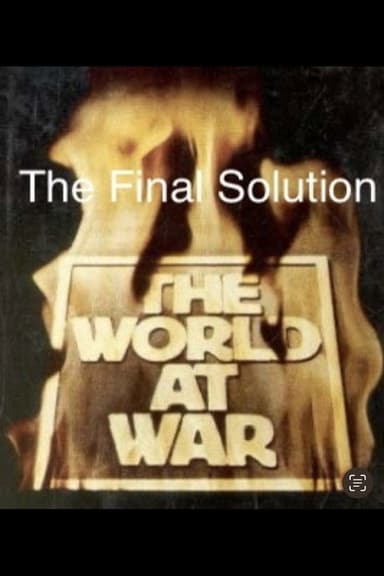 The Final Solution poster