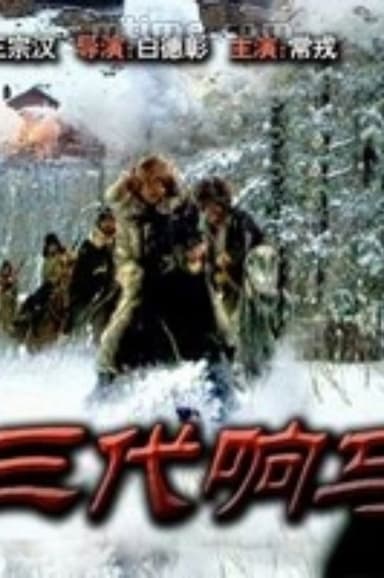 三代响马 poster