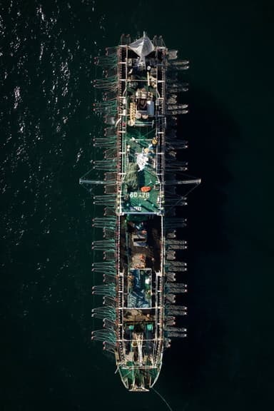 Squid Fleet poster