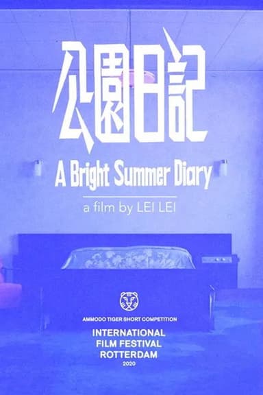 A Bright Summer Diary poster