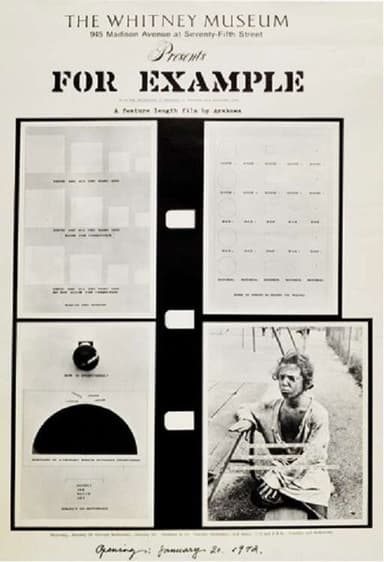 For Example: A Critique of Never poster