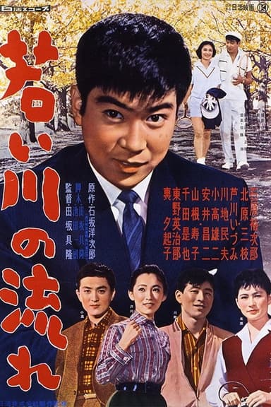 The Stream of Youth poster