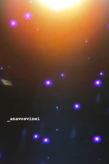 _anavosvinei poster