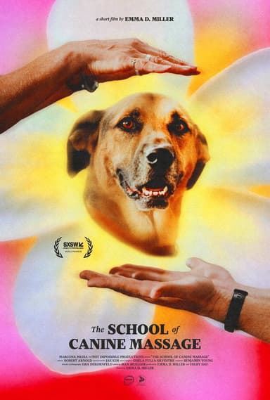 The School of Canine Massage poster