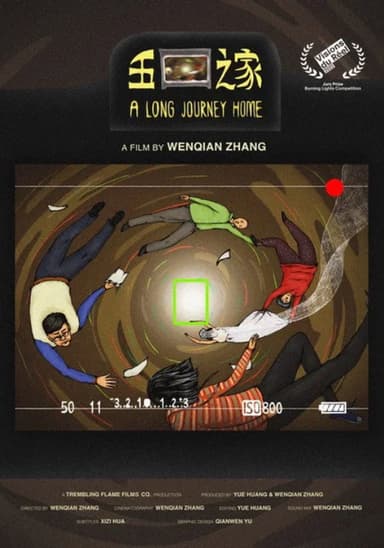A Long Journey Home poster