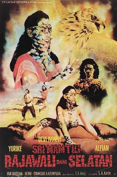 Hawk from the South poster
