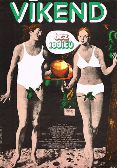 Víkend bez rodičů poster