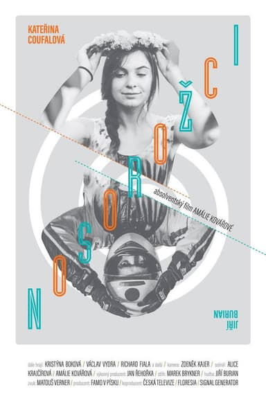 Rhinoceros poster