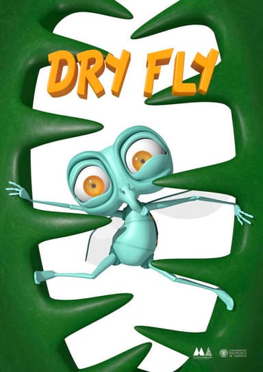 Dry Fly poster
