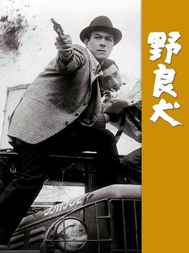 Stray Dog poster