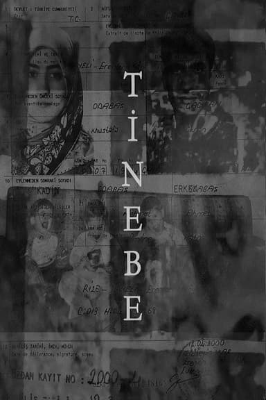 Tinebe poster