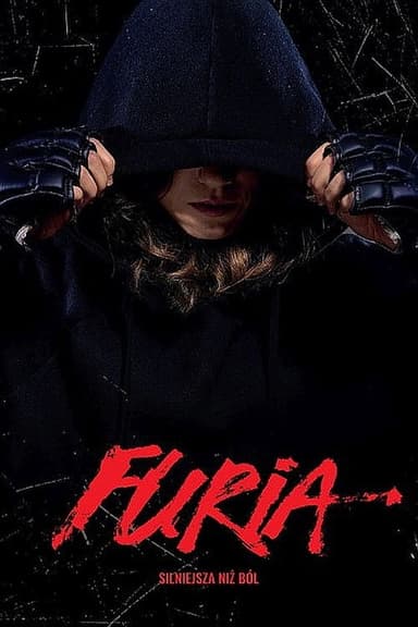 Fury poster
