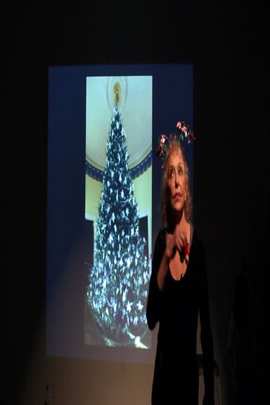Pinea Silva: Lost Meanings of the Christmas Tree poster